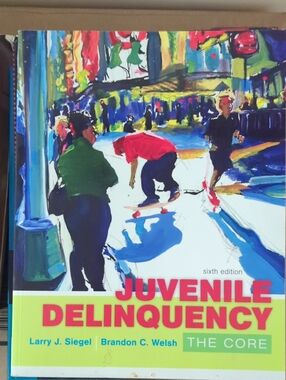 Juvenile Delinquency The Core 6th Edition Textbook